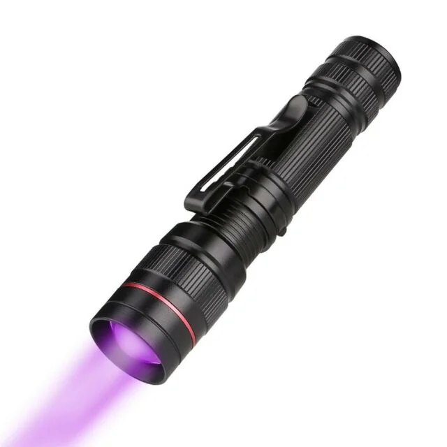 cree-uv-flashlight